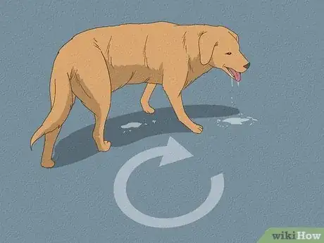 Image titled Tell if Your Dog Is Having a Medical Emergency Step 14