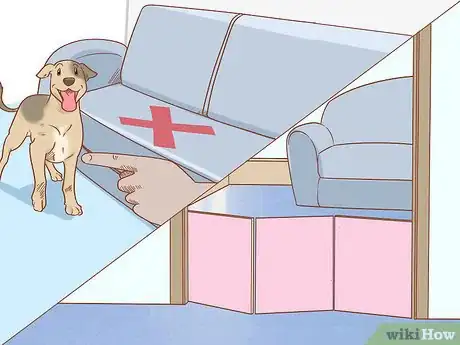 Image titled Care for Dogs Step 14