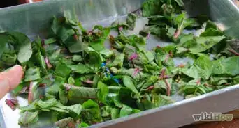 Cook Beet Greens