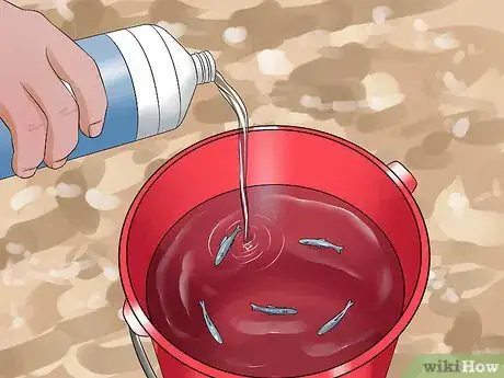 Image titled Keep Minnows Alive Step 10