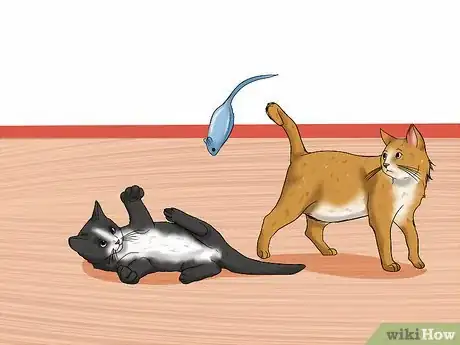 Image titled Break Up a Cat Fight Step 12