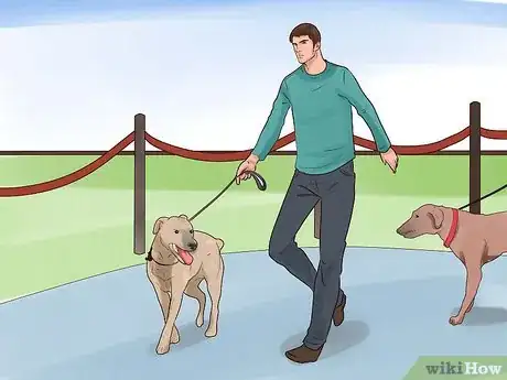 Image titled Train Your Dog for a Dog Show Step 4