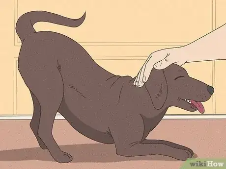 Image titled Know if Your Female Dog Is Ready to Breed Step 5