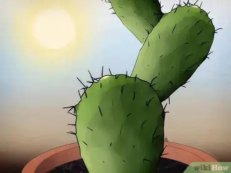 Image titled Save a Dying Cactus Step 3