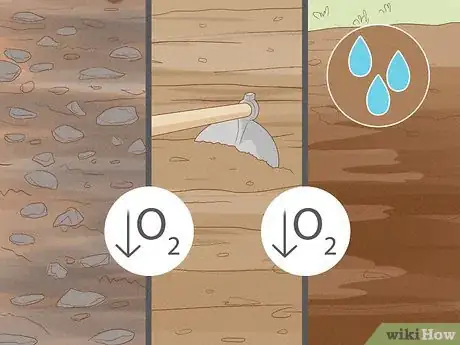 Image titled Why Does Your Soil Smell Like Ammonia Step 3