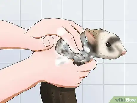 Image titled Bathe a Ferret Step 5