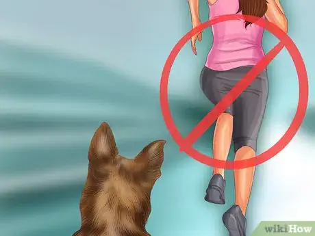 Image titled React if a Mean Dog Chases You Step 1