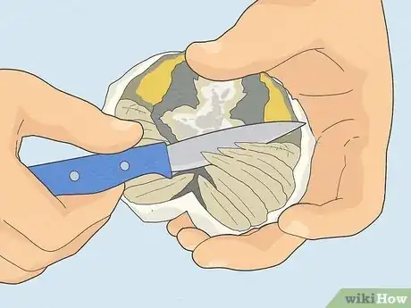 Image titled Eat a Maryland Blue Crab Step 16