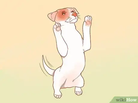 Image titled Get a Dog to Stop Whining Step 6