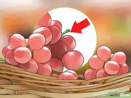 Image titled Choose Grapes Step 3