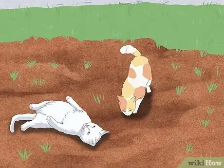 Image titled Why Do Cats Roll in Dirt Step 9