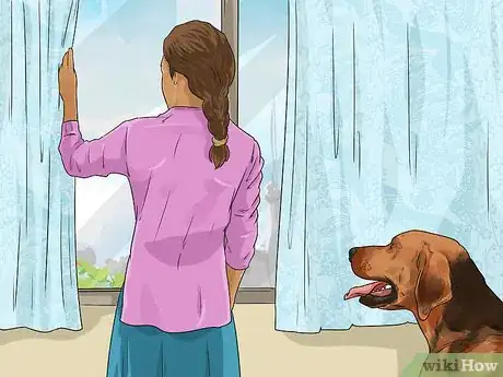 Image titled Teach Your Dog the Stop Barking Command Step 9