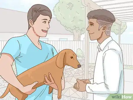 Image titled Hold a Dachshund Properly Step 11