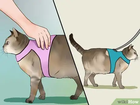 Image titled Make a Harness for Your Fat Cat Step 10