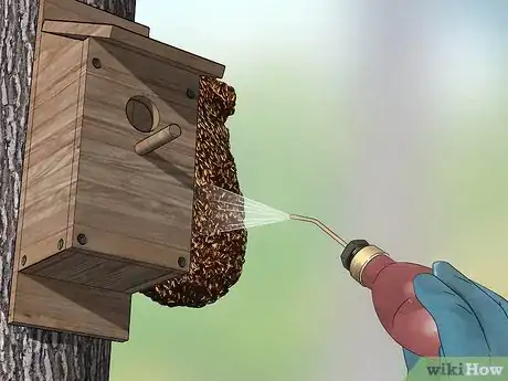 Image titled Keep Bees Out of Birdhouses Step 1