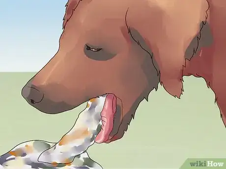 Image titled Recognize Bloat in Dogs Step 5