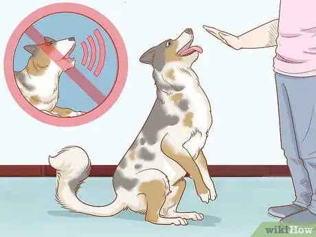 Image titled Care for Dogs Step 17