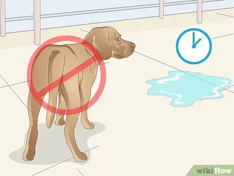 Image titled Remove Dog Urine Step 15