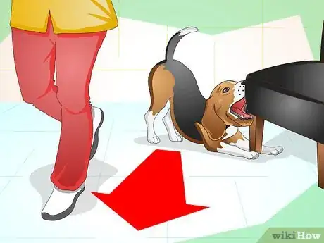 Image titled Keep Your Dog Calm Outside His Crate Step 2