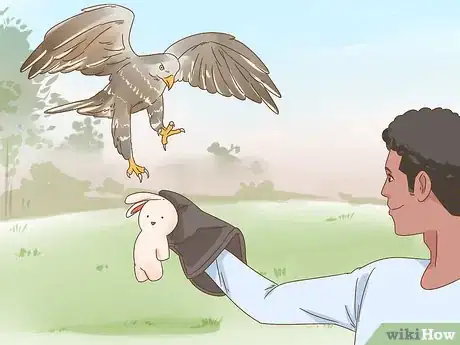 Image titled Train Your First Falcon Step 10