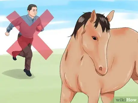 Image titled Approach Your Horse Step 15