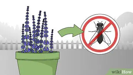 Image titled Get Rid of Flies Outside Step 11