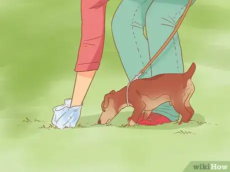 Image titled Introduce a Dog to a Dog Park Step 18