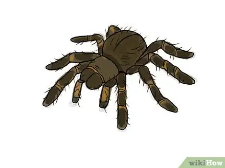 Image titled Draw a Spider Step 10