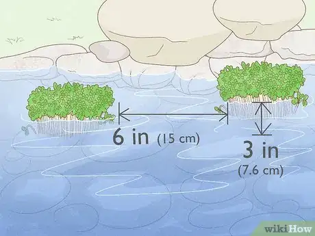 Image titled Grow Watercress in a Pond Step 19