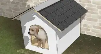 Build a Simple Dog House