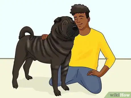 Image titled Identify a Shar‐Pei Step 15