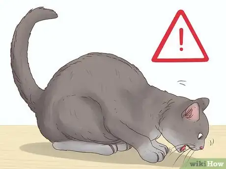 Image titled Help a Cat Cough Up a Hairball Step 8