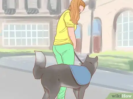 Image titled Get a Service Dog Step 2