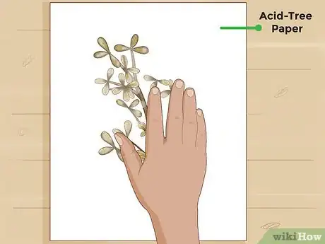 Image titled Make a Herbarium Step 12