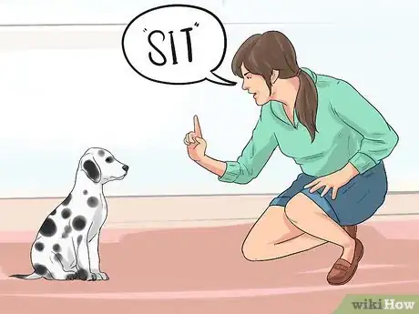 Image titled Train Dalmatians Step 11