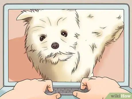 Image titled Know if Your Male Dog Is Ready to Breed Step 6