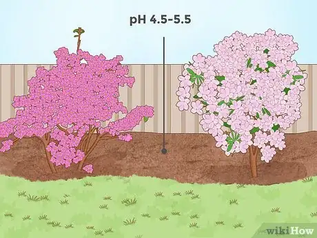 Image titled Lower Soil pH Step 12