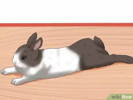 Image titled Prevent Sore Hocks in Rabbits Step 6