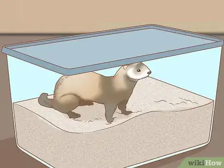 Image titled Make Your Ferret Happy Step 5