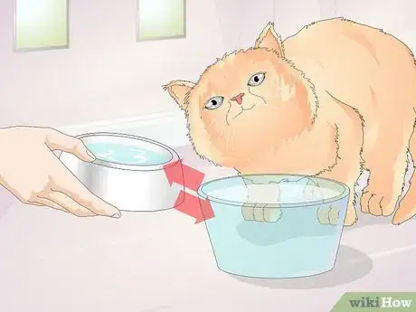 Image titled Keep Cats from Drinking Out of Glasses Step 13