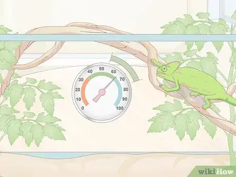 Image titled Take Care of a Chameleon Step 13