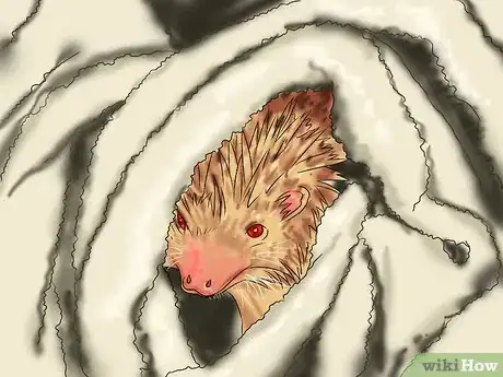 Image titled Care for a Baby Hedgehog Step 3