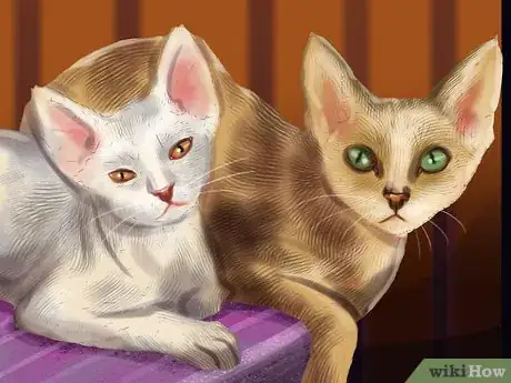 Image titled Care for a Devon Rex Step 12