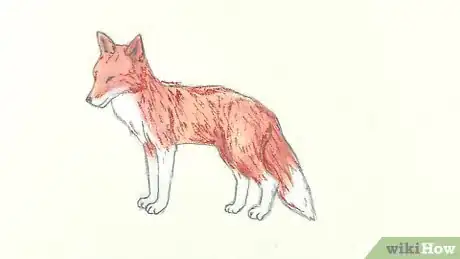 Image titled Draw a Fox Step 10