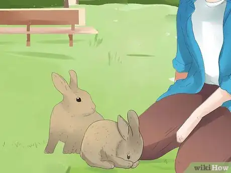 Image titled Understand Your Rabbit Step 18