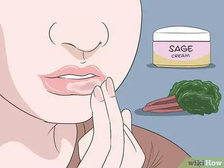 Image titled Get Rid of a Cold Sore with Home Remedies Step 2