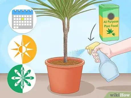 Image titled Grow Dracaena Marginata Step 10