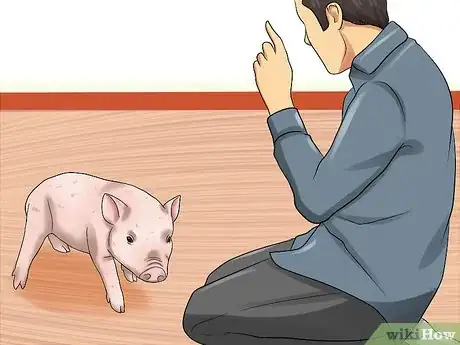 Image titled Play with a Piglet Step 10