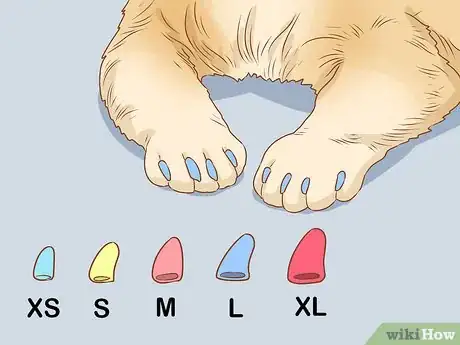 Image titled Put Nail Caps on Your Cat Step 4