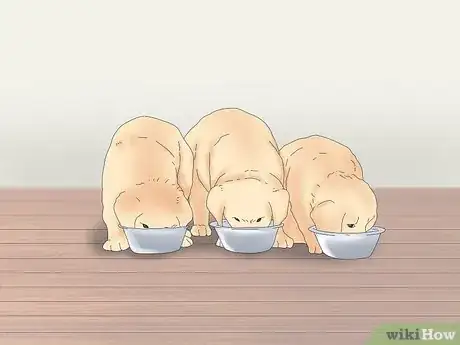 Image titled Make Sure That Your Dog Is Okay After Giving Birth Step 13